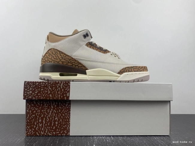 Palomino 3 Air CT8532-102 Jordan 0706